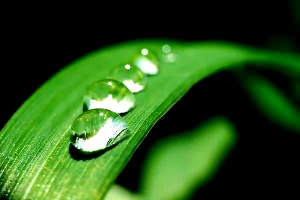 民族生物科技领域迎新机遇，国家战略加强领导力促发展